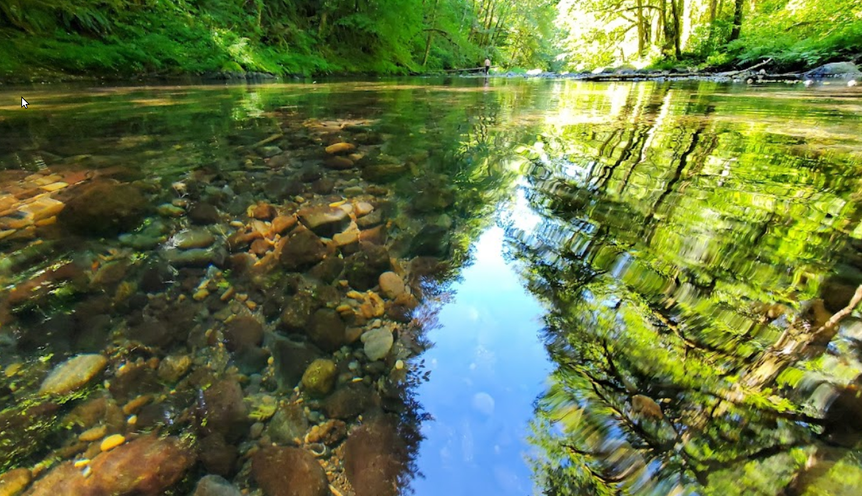 Nestucca River